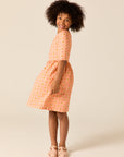 Wander And Wonder Pink Strawberry Check Dress