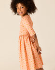 Wander And Wonder Pink Strawberry Check Dress