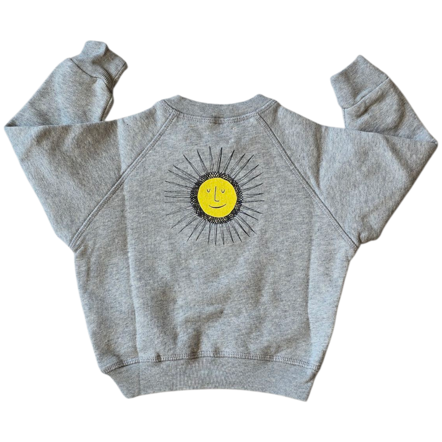 The Animal Observatory Grey Toddler Paris Sweatshirt