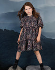 Noma Chiffon Floral Printed Dress