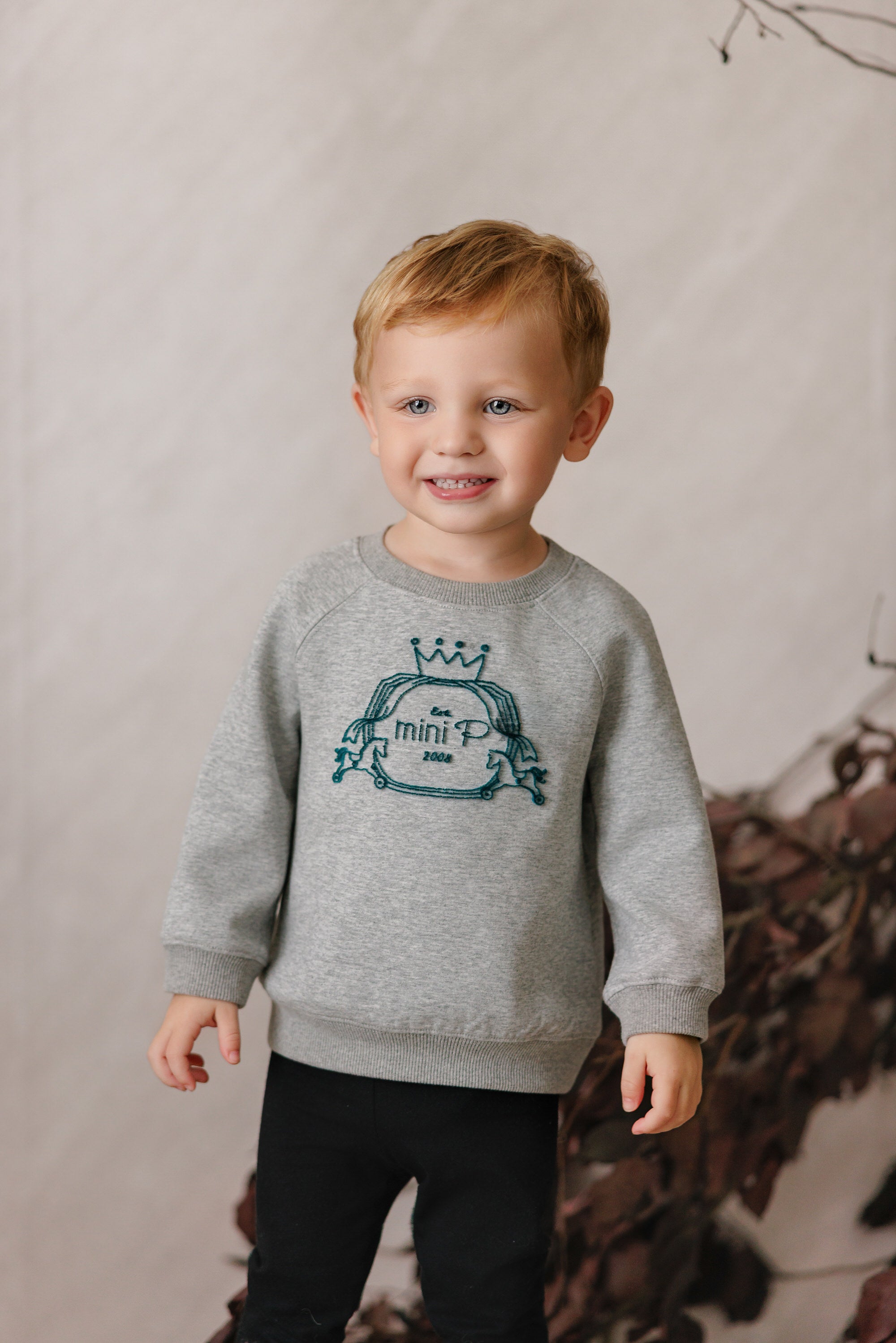 Mini P Velvet Emblem Sweatshirt Grey / Teal