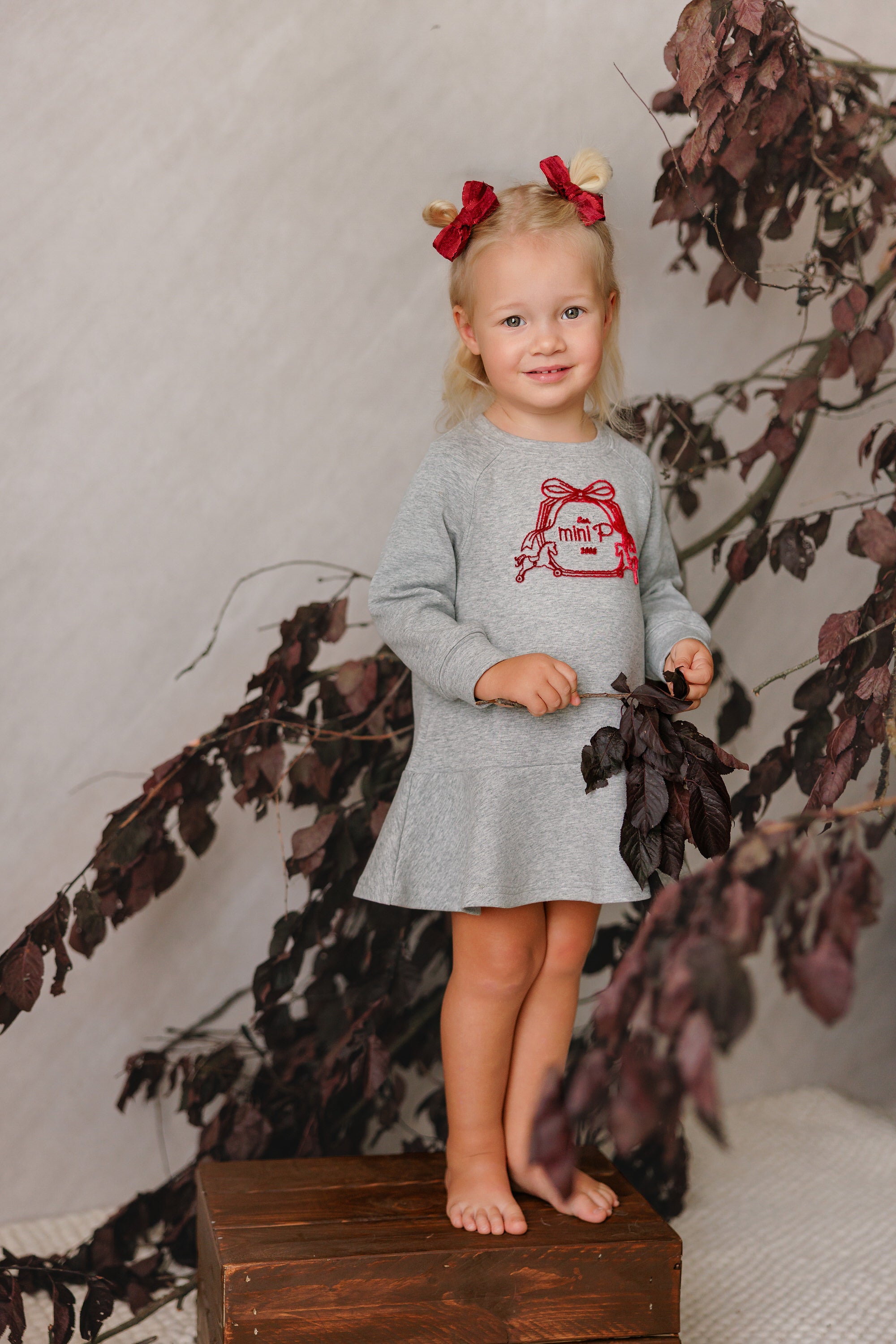 Mini P Grey Velvet Emblem Sweatshirt Dress