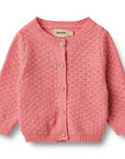 Wheat Flower Meadow Cardigan Set