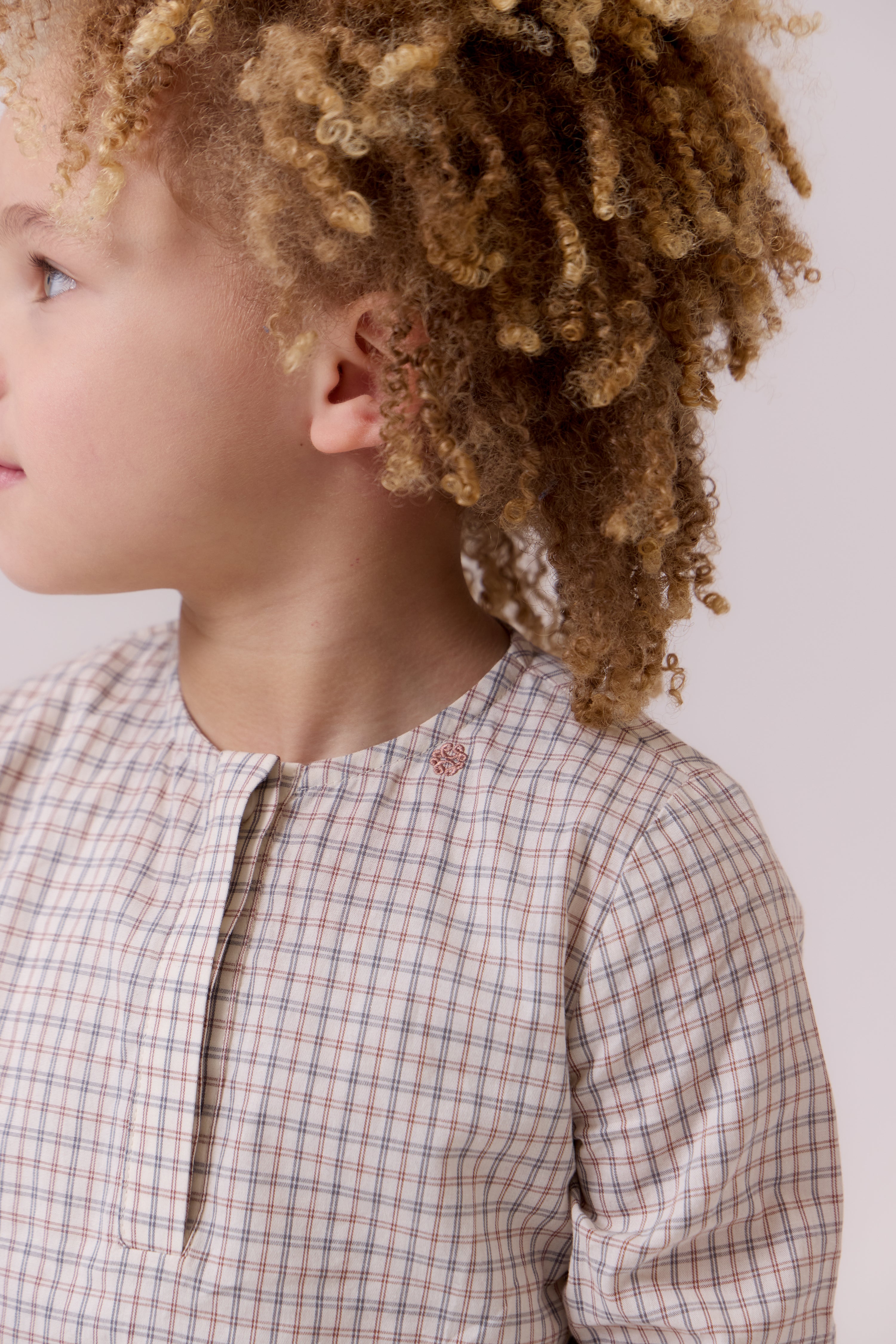 Cottier Multi Micro Plaid Shirt