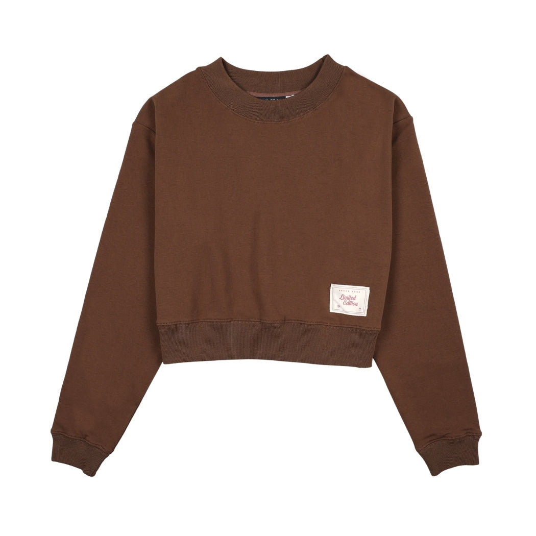 Urban Edge Brown Cropped Sweatshirt