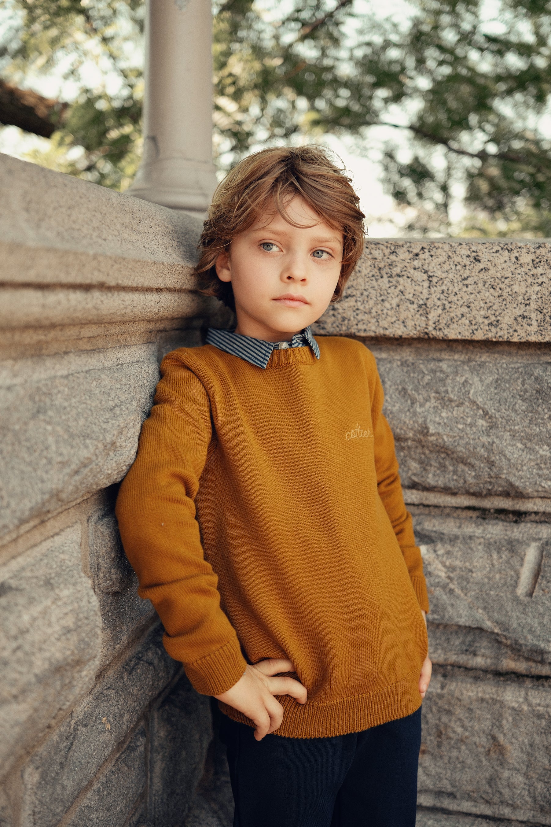 Cottier Mustard Leo Knit Sweater