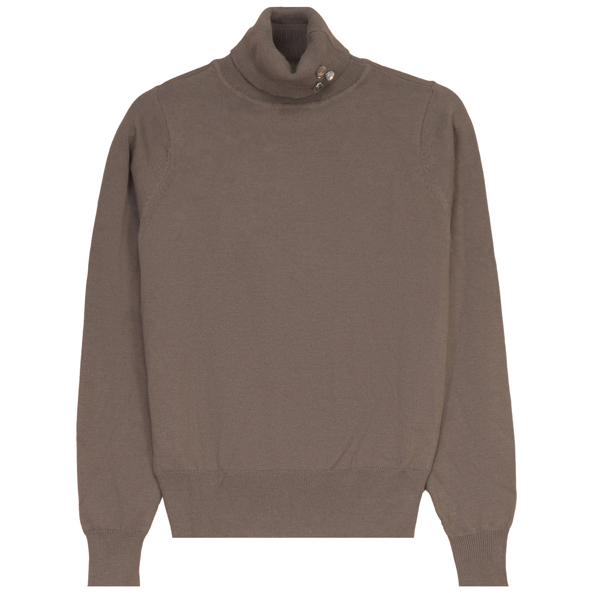 Gem Taupe Brooch Turtleneck