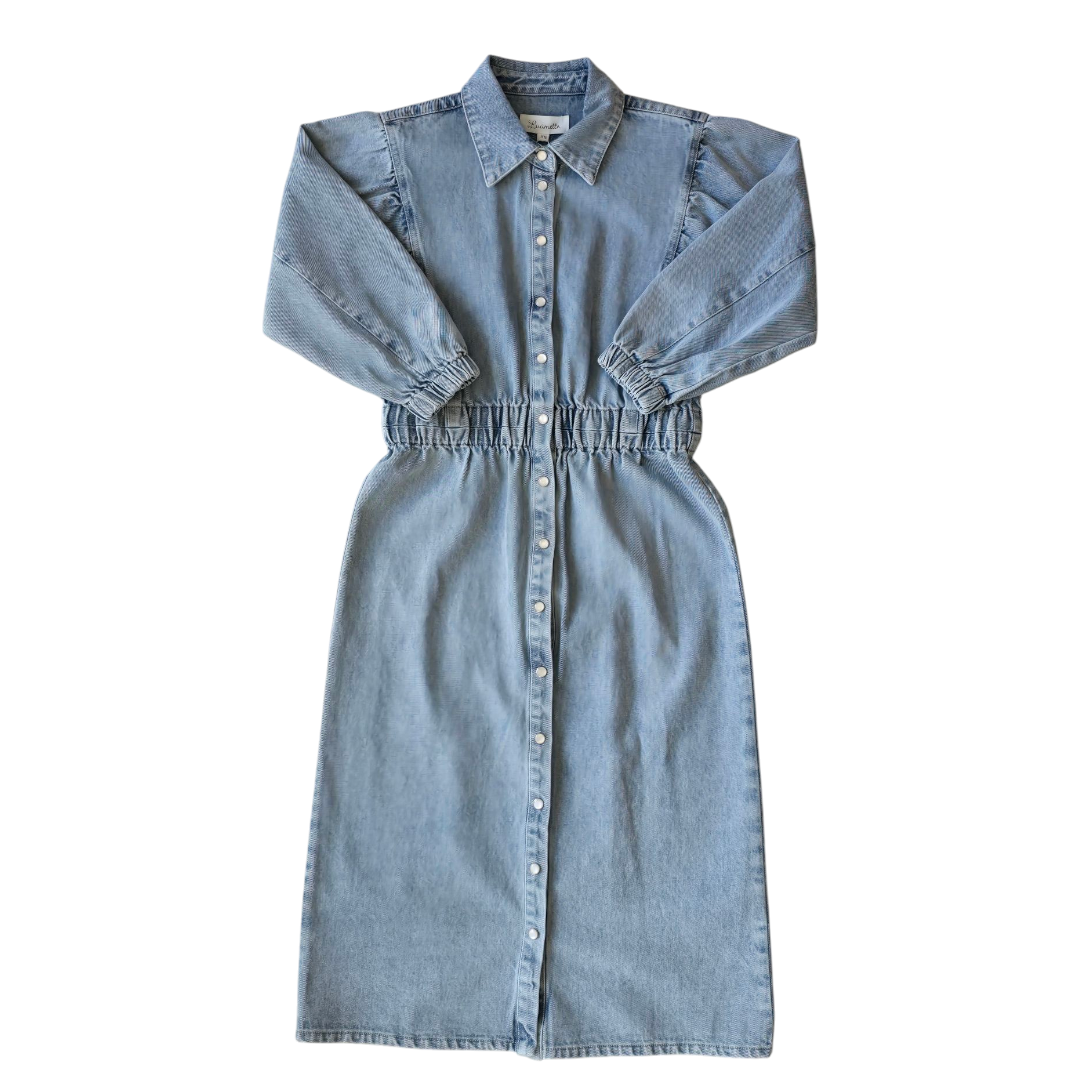 Luumette Denim Feline Dress