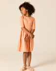 Wander And Wonder Pink Strawberry Check Dress