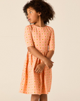 Wander And Wonder Pink Strawberry Check Dress